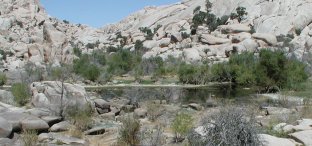 Barker Dam Pond