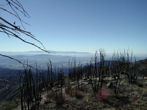 Looking toward LA