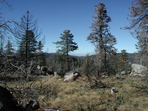 Looking toward the desert