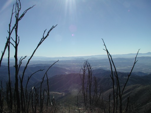 Looking at San Bernardino, I think